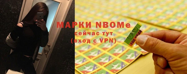хмурый Алексин