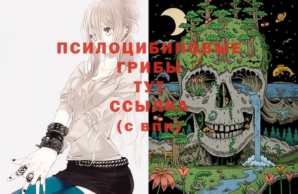 твердый Абинск