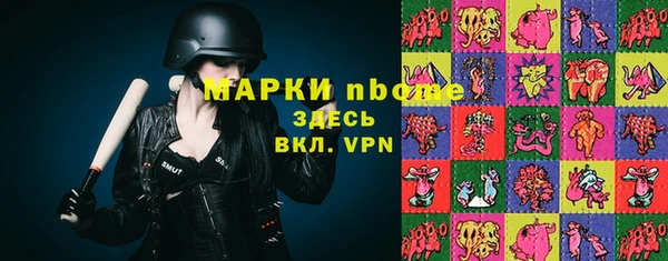 хмурый Алексин